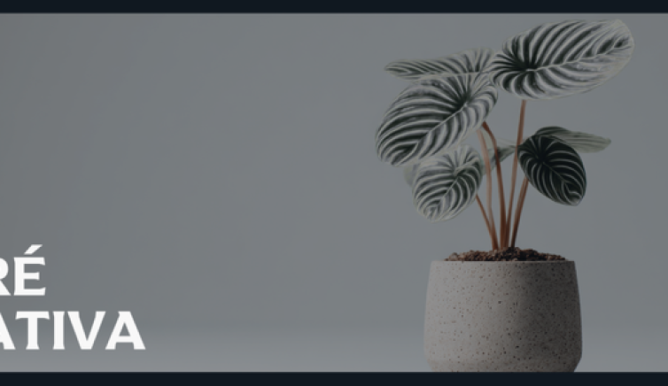 O poder do minimalismo na era do excesso